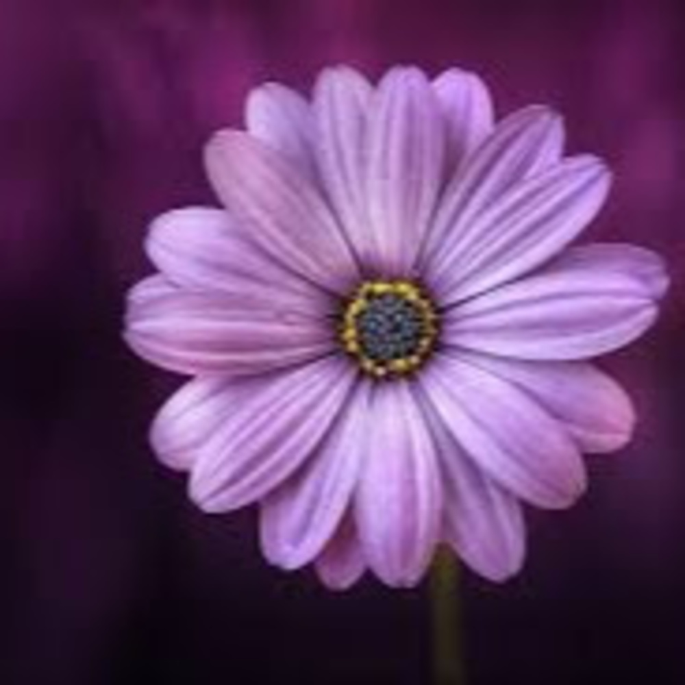 Meet your Posher, Aubrey